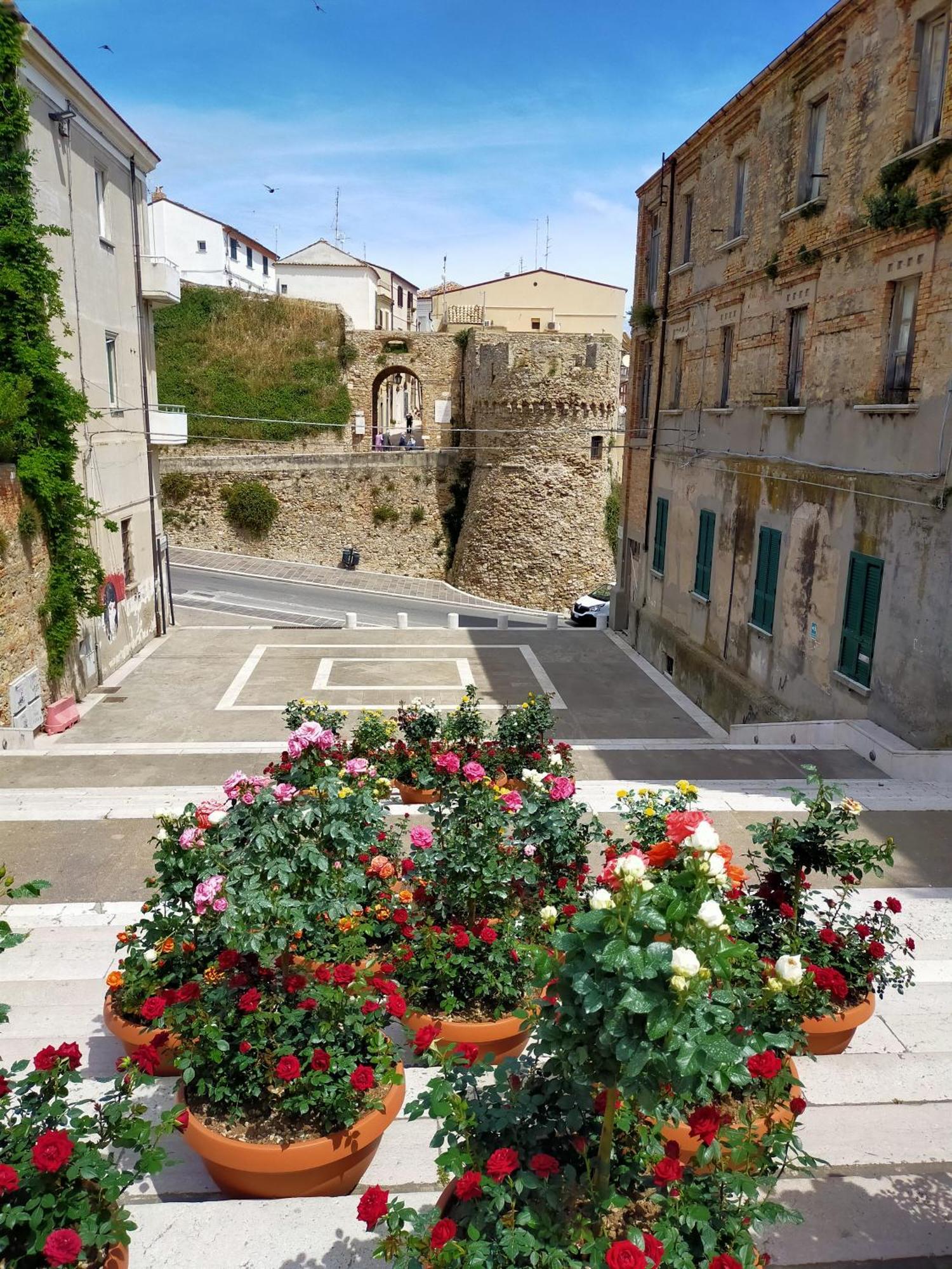 Seabed Superior Rooms Termoli Exterior photo